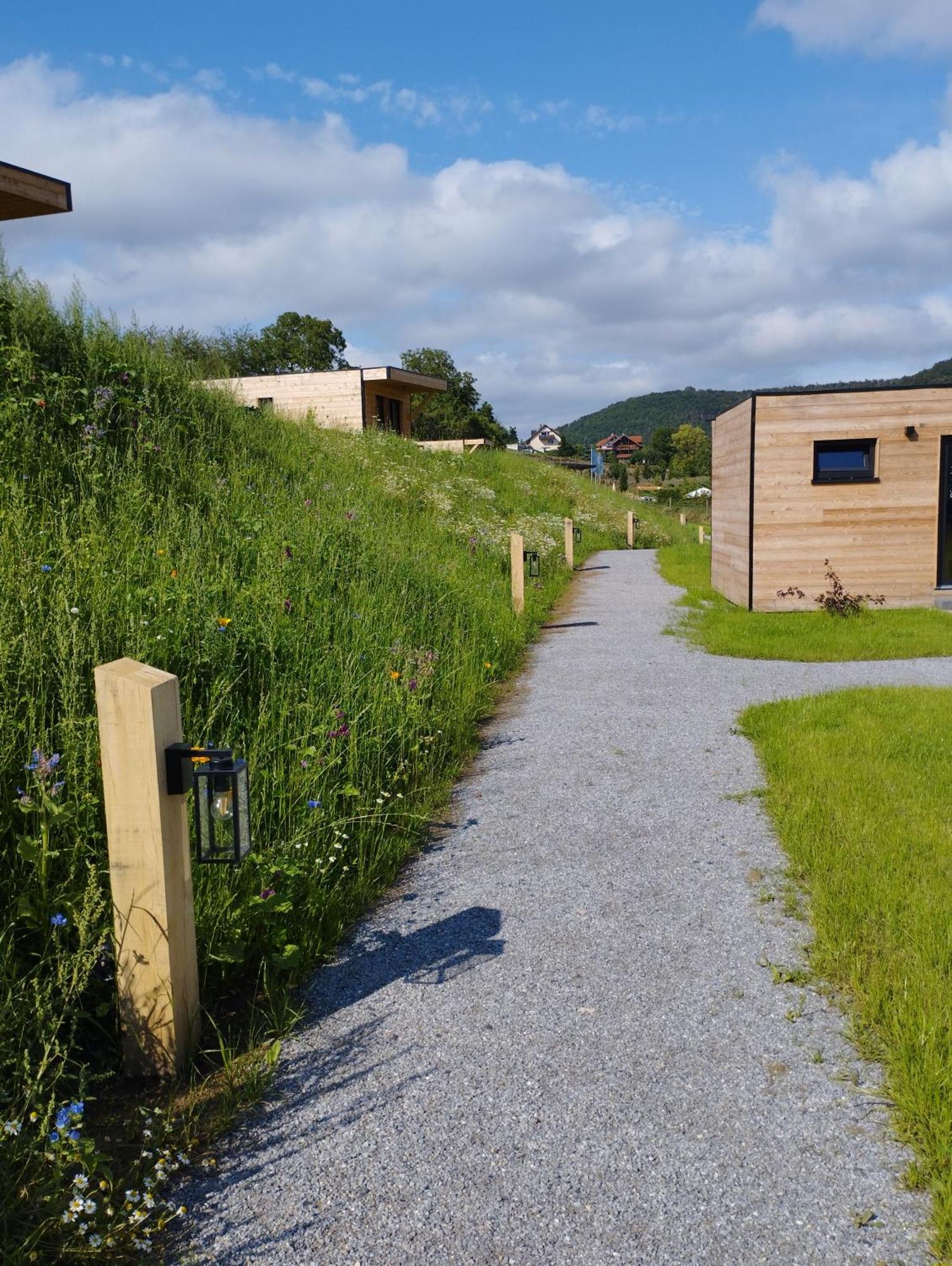 Ferienresort Edersee Gmbh Hemfurth-Edersee Eksteriør billede
